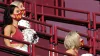 Do NFL cheerleaders get paid? Here's how much the average salary is