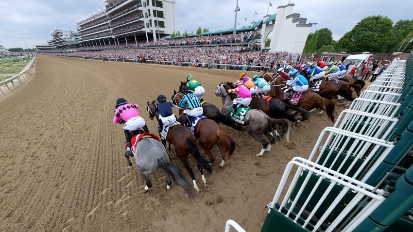 Kentucky Derby starting gate