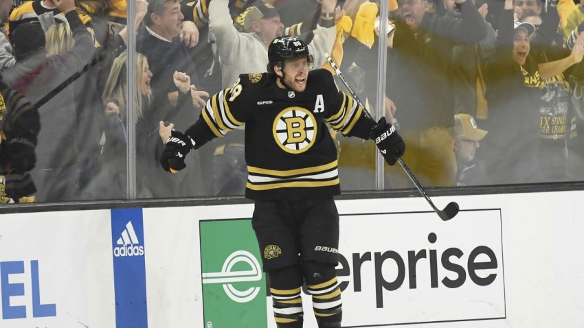 David Pastrnak